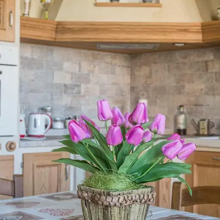 דירה I Delfini *