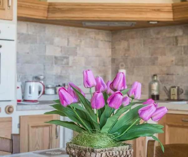 Apartman I Delfini *